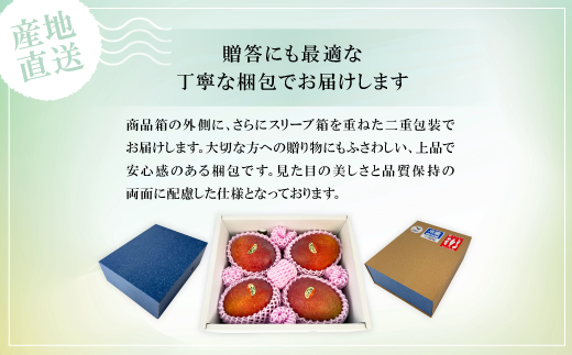 【2026年6月中旬から順次発送】贈答用のアップルマンゴー2kg【配送不可地域：離島】
