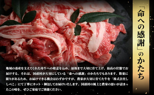 やんばるの自然が育んだ「黒毛和牛 経産牛」切り落とし 合計1kg(500g×2パック)【配送不可地域：離島】