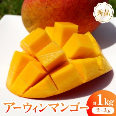 【2026年6月から順次発送】秀品アーウィンマンゴー1kg(2～3玉)【配送不可地域：離島】