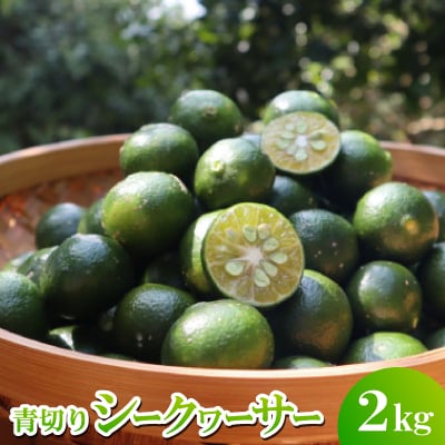 【2026年9月頃から順次発送】道の駅 ゆいゆい国頭が厳選した青切りシークヮーサー2kg