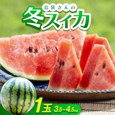 【2026年2月～3月頃の発送】島袋さんの冬スイカ 1玉(3.5～4.5kg)【配送不可地域：離島】
