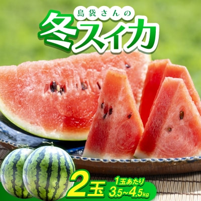 【2026年2月～3月頃の発送】島袋さんの冬スイカ 2玉(1玉あたり3.5～4.5kg)【配送不可地域：離島】