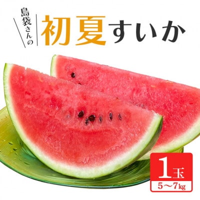 【先行受付・2026年6月上旬から順次発送】島袋さんの夏スイカ大玉 1玉(5.0～7.0kg)【配送不可地域：離島】