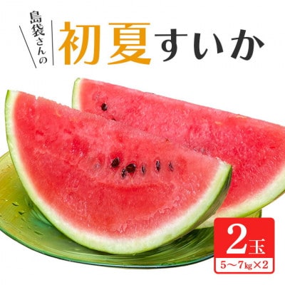 【先行受付・2026年6月上旬から順次】島袋さんの夏スイカ大玉 2玉(1玉あたり5.0～7.0kg)【配送不可地域：離島】