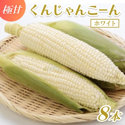 【2026年4～5月頃順次発送】春獲れ一番!極甘くんじゃんこーん ホワイト 8本 とうもろこし【配送不可地域：離島】