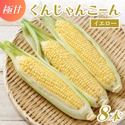 【2026年4～5月頃順次発送】春獲れ一番!極甘くんじゃんこーん 8本 とうもろこし【配送不可地域：離島】