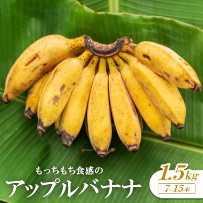 もっちもち食感のアップルバナナ1.5kg(7～15本)