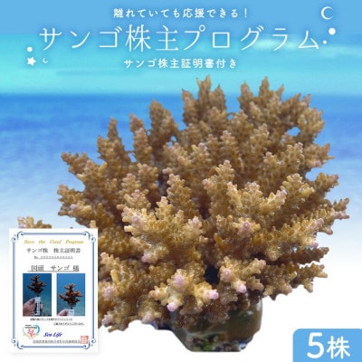 離れていても応援できる!国頭村の「サンゴ株主」プログラム5株