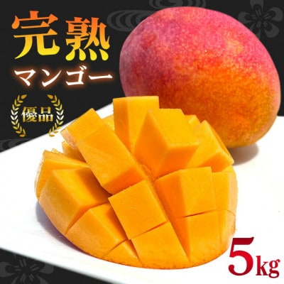 【2026年6月から順次発送】優品アーウィンマンゴー5kg(8～12玉)【配送不可地域：離島】