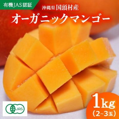 【2026年7月上旬から順次発送・有機JAS認証】オーガニックマンゴー1kg(2～3玉)【配送不可地域：離島】