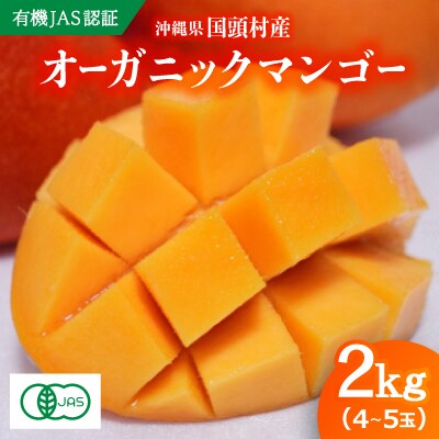 【2026年7月上旬から順次発送・有機JAS認証】オーガニックマンゴー2kg(4～5玉)【配送不可地域：離島】