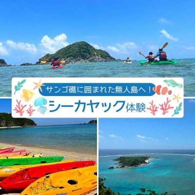 サンゴ礁に囲まれた無人島へ!シーカヤック体験 2名様