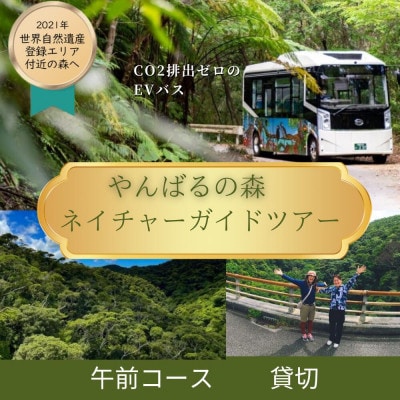 【1ヶ月前予約必須】やんばるの森ネイチャーガイドEVバスツアー 午前コース 貸切(最大16名乗車可能