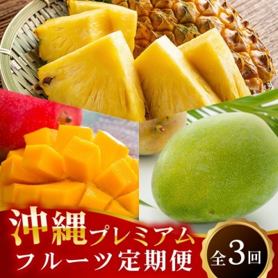 【発送月固定定期便】沖縄プレミアムフルーツ(アップルマンゴー/ゴールドバレル/キーツマンゴー)全3回【配送不可地域：離島】