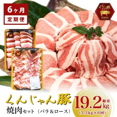【毎月定期便】くんじゃん豚 焼肉セット(バラ・ロース)計19.2kg全6回【配送不可地域：離島】