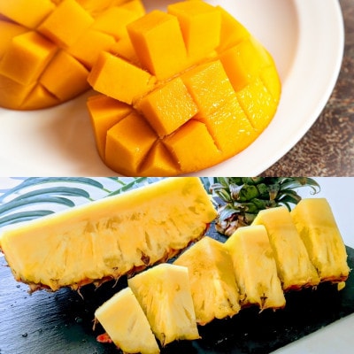 【発送月固定定期便】沖縄2大フルーツセット アップルマンゴー＆パイナップル全2回【配送不可地域：離島】