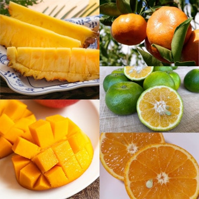 【発送月固定定期便】南国プレミアムフルーツ定期便(マンゴー＆パイナップル2種＆柑橘3種)全6回【配送不可地域：離島】