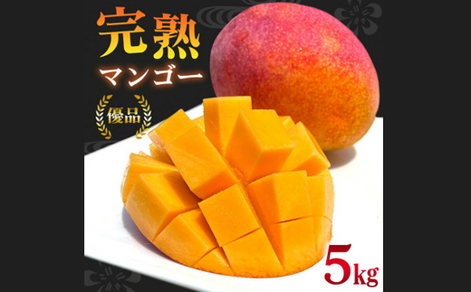 【2026年6月から順次発送】優品アーウィンマンゴー5kg(8～12玉)【配送不可地域：離島】