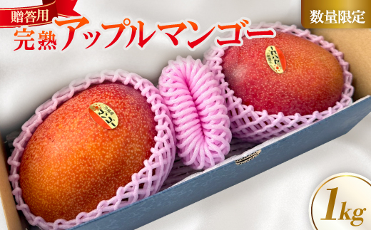 【2026年6月中旬から順次発送】贈答用のアップルマンゴー1kg【配送不可地域：離島】