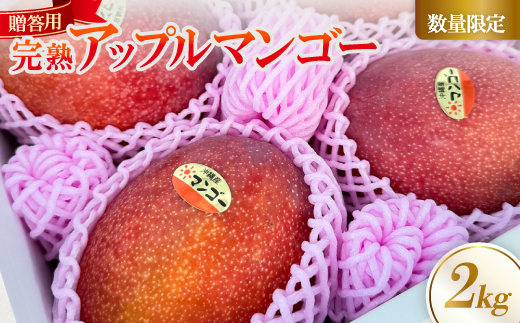 【2026年6月中旬から順次発送】贈答用のアップルマンゴー2kg【配送不可地域：離島】