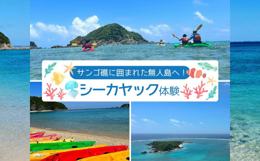 サンゴ礁に囲まれた無人島へ!シーカヤック体験 2名様