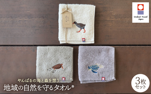 地域の自然を守るタオル やんばるの海と森を想う 3枚セット
