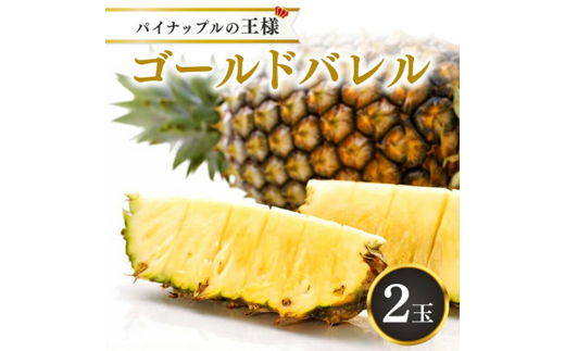 【2026年5月から順次発送・ハウス栽培】パイナップルの王様 ゴールドバレル2玉【配送不可地域：離島】