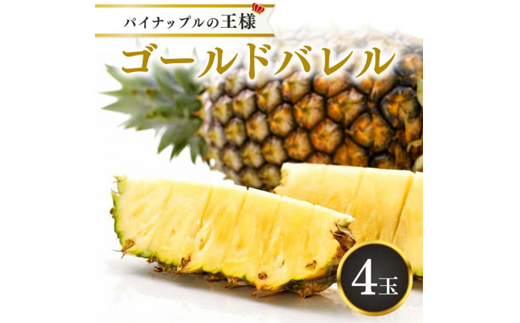 【2026年5月から順次発送・ハウス栽培】パイナップルの王様 ゴールドバレル4玉【配送不可地域：離島】