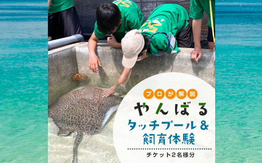 見て・触って・学べる!やんばるタッチプール＆飼育体験チケット2名様