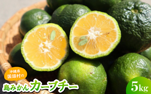 【2025年10月頃から順次発送】島みかん カーブチー 5kg