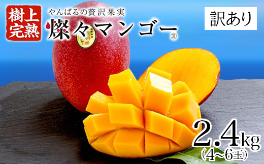 【2025年発送・訳あり】燦々マンゴー2.4kg(4～6玉)【配送不可地域：離島】 2.4㎏（4～6玉）