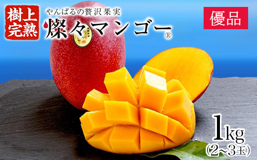 【2025年発送・優品】燦々マンゴー1.0kg(2～3玉)【配送不可地域：離島】