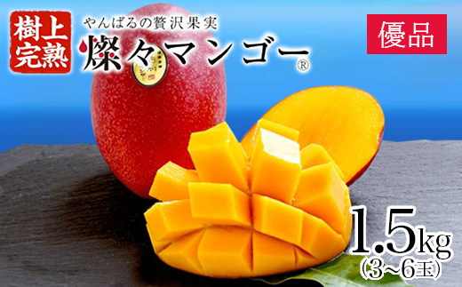【2025年発送・優品】燦々マンゴー1.5kg(3～6玉)【配送不可地域：離島】