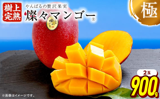 【2026年7月から順次発送・最高級ランク極】燦々マンゴー900g(2玉)【配送不可地域：離島】