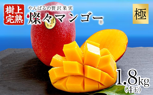 【2025年発送・最高級 極】燦々マンゴー1.8kg(4玉)【配送不可地域：離島】