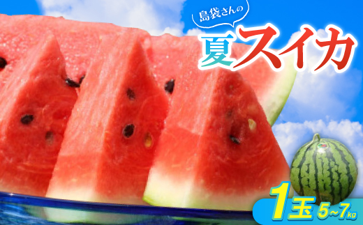 【先行受付・2026年8月中旬から順次発送】島袋さんの夏スイカ大玉 1玉(5.0～7.0kg)【配送不可地域：離島】