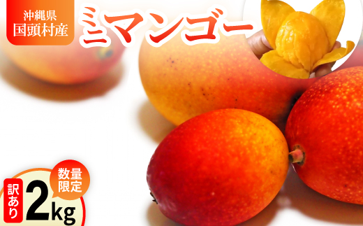 【2026年6月から順次発送】数量限定の訳ありミニマンゴー2kg【配送不可地域：離島】