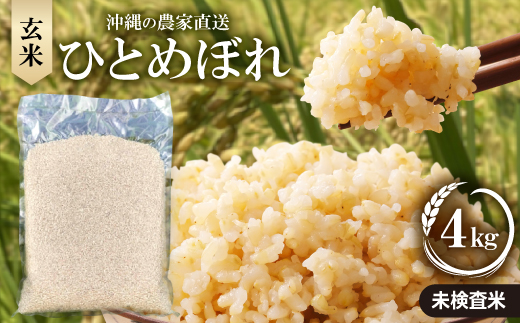 【令和7年産新米】沖縄の農家直送 ひとめぼれ 玄米(栽培期間中農薬不使用)4kg