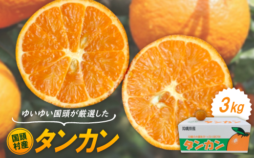 【2026年1月から順次発送】ゆいゆい国頭が厳選した国頭村産タンカン3kg
