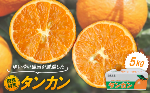 【2026年1月から順次発送】ゆいゆい国頭が厳選した国頭村産タンカン5kg