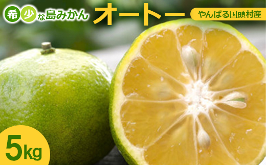 【2026年10月頃から順次発送】やんばる国頭村産 希少な島みかん「オートー」5kg