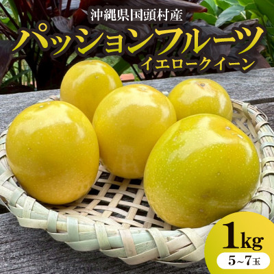 【2025年12月から順次発送】国頭村産パッションフルーツ イエロークイーン 1kg(5～7玉)