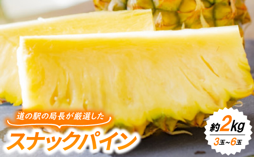 【2026年7月上旬より順次発送】道の駅の局長が厳選した「スナックパイン」約2kg(3玉～6玉)【配送不可地域：離島】