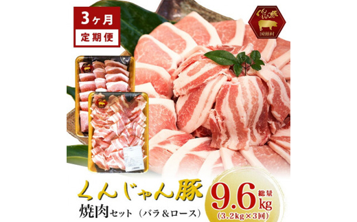 【毎月定期便】くんじゃん豚 焼肉セット(バラ・ロース)計9.6kg全3回【配送不可地域：離島】