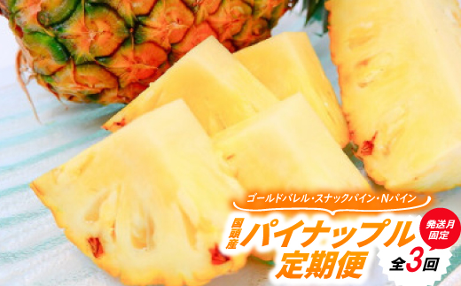 【発送月固定定期便】国頭産パイナップル3種セット(ゴールドバレル・スナックパイン・Nパイン)全3回【配送不可地域：離島】