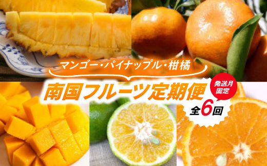 【発送月固定定期便】南国フルーツ定期便(マンゴー＆パイナップル2種＆柑橘3種)全6回【配送不可地域：離島】