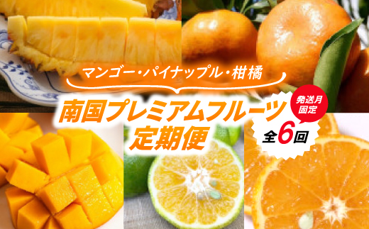 【発送月固定定期便】南国プレミアムフルーツ定期便(マンゴー＆パイナップル2種＆柑橘3種)全6回【配送不可地域：離島】