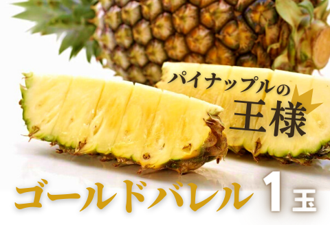 先行予約[2024年5月発送]沖縄県産パインの王様 ゴールドバレル(1.7kg程度)1玉