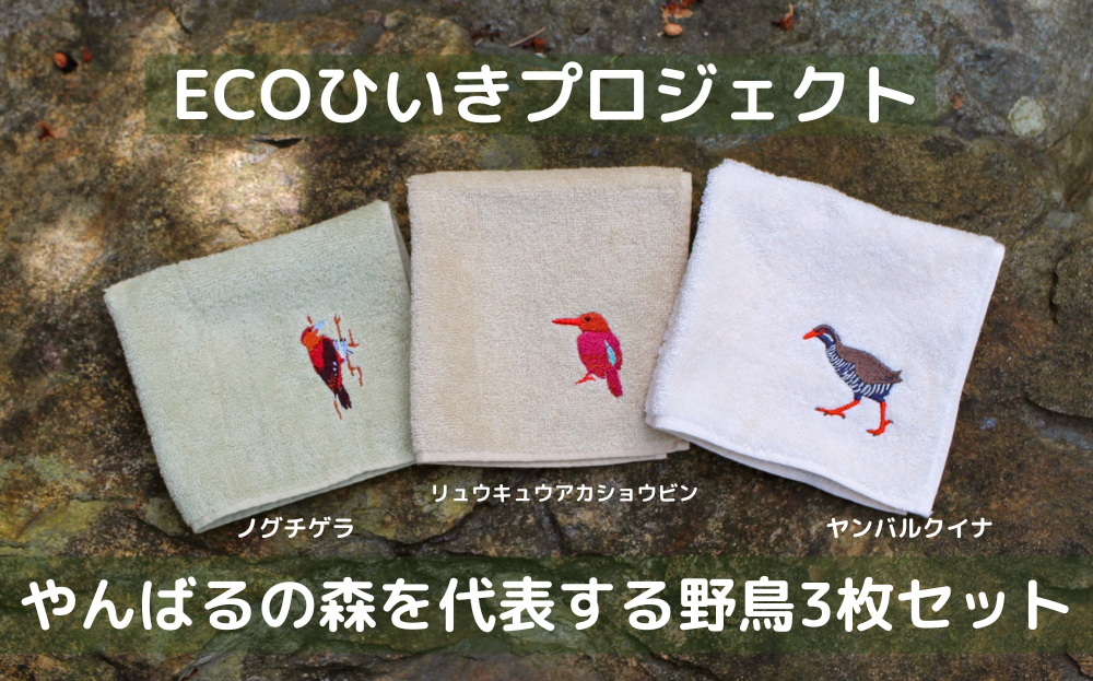 地域の自然を守るタオル 選べる 5枚セット 3枚セット「やんばるの海と森を想う」「やんばるの野鳥」ヤンバルクイナ ノグチゲラ  リュウキュウアカショウビン アカウミガメ アオウミガメ 今治タオル オーガニックコットン GOTS認証オーガニック ハンドタオル