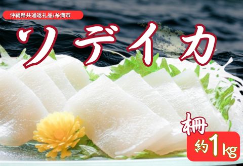 ソデイカ 柵(セーイカ) 約 1kg[国頭村×糸満市共通返礼品](沖縄県共通返礼品 /糸満市)